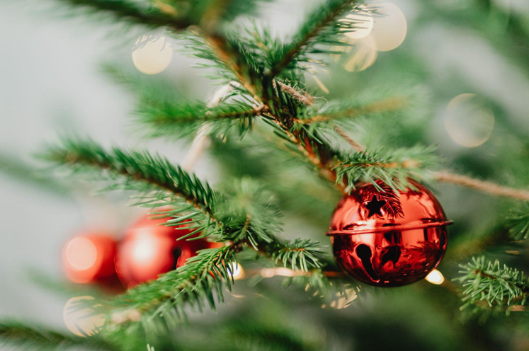Artificial Christmas Trees, Mediterranean Food, and the Middle East