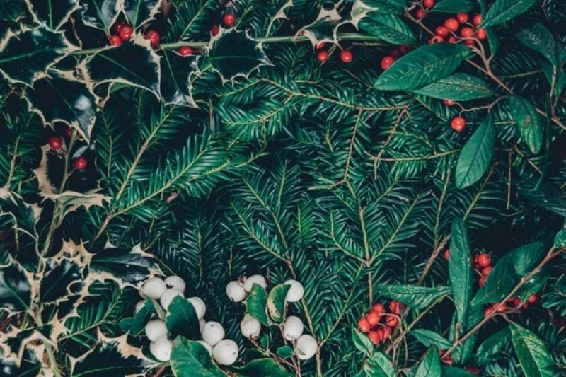 Find the Right Artificial Christmas Tree for You: Clever Tips on Choosing the Best Style, Size and Height